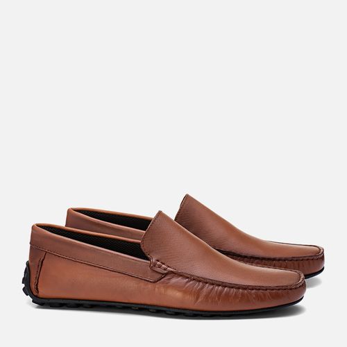 Driver Masculino Milano Whisky 13378