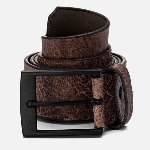 Cintos Masculino Milano Mamute Café 13631