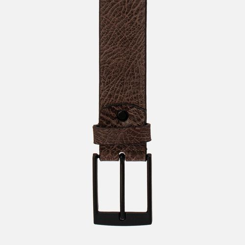 Cintos Masculino Milano Mamute Café 13631